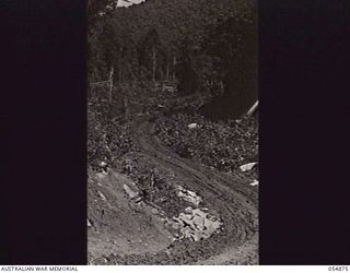 BULLDOG-WAU ROAD, NEW GUINEA, 1943-07-10. WINDING BOGGY SECTION OF THE ROAD AT THE 10 MILE POINT. CORDUROY WILL BE LAID LATER TO MAKE IT AN ALL WEATHER ROAD