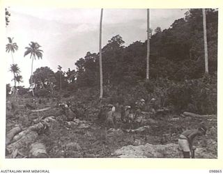 FAURO ISLAND, BOUGAINVILLE AREA. 1945-11-12. PRIVATE S.E. ANDREWS, 7 INFANTRY BATTALION IN CHARGE OF A JAPANESE WORKING PARTY WHO ARE CLEARING AN AREA FOR A ROAD ALONG THE COAST. JAPANESE ARMY AND ..