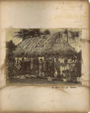 Natives, Tongatapu