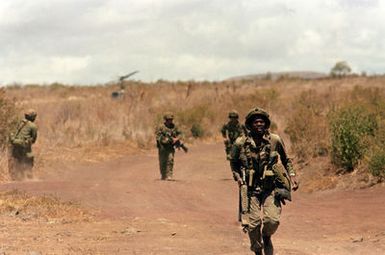 Members of the 1ST Battalion, 35th Infantry, 25th Infantry Division, patrol along a dirt road during their unit's annual Army Training and Evaluation Program (ARTEP) at the US Army's Pohakuloa Training Area