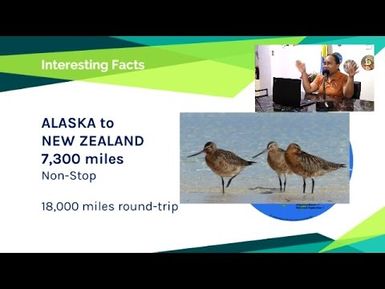 Types of Birds - PCS (2/28/17)