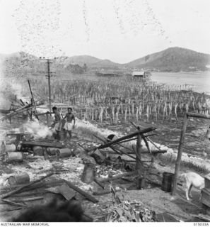 1943-06-18. NEW GUINEA. THE NATIVE VILLAGE OF HANAUBADA, PORT MORESBY AFTER IT HAD BEEN SWEPT BY FIRE, WHICH IT IS BELIEVED WAS ACCIDENTAL. THIS WAS THE BIGGEST VILLAGE OF "SALTWATER" NATIVES IN ..
