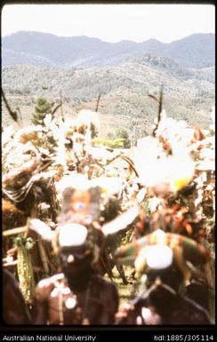 Goroka Show