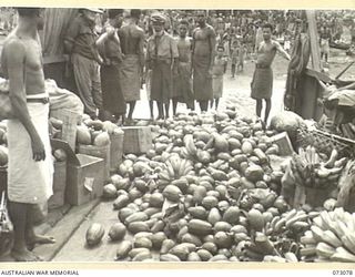 UKILIM, NEW GUINEA. 1944-05-12. NATIVES LOAD A BARGE WITH PRODUCE FROM NATIVE GARDENS. THE BARGE, CHARTERED FROM LAE BY THE AUSTRALIAN ARMY SERVICE CORPS, TRANSPORTS FRUIT AND VEGETABLES WEEKLY TO ..