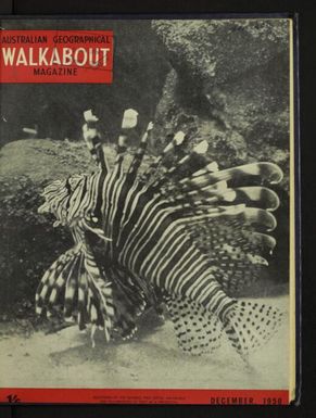 THE AUSTRALIAN ABORIGINAL AS HUNTER AND FOOD GATHERER (1 December 1950)