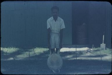 Selling food to the hospital (3) : Mapamoiwa Station, D'Entrecasteaux Islands, Papua New Guinea, 1956-1959 / Terence and Margaret Spencer
