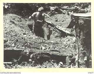 BOUGAINVILLE ISLAND. 1945-02-12. Q109307 PRIVATE M.J. CONWAY, 9TH INFANTRY BATTALION DIGGING A BREN GUN PIT DURING THE CONSOLIDATION OF THE BATTALION POSITION ON THE MOSIGETTA ROAD