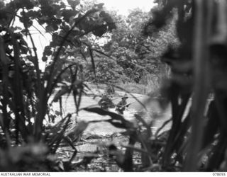 DANMAP RIVER AREA, NEW GUINEA. 1945-01-02. TROOPS OF A COMPANY, 2/11TH INFANTRY BATTALION, FORDING THE FLOODED WAKIP RIVER IN THE FACE OF ENEMY FIRE DURING THE ADVANCE ON JAPANESE POSITIONS ON A ..