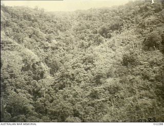 NORTH EAST NEW GUINEA. 1945-03-09. NOT ONLY DO AIRMEN AND GROUND FORCES HAVE TO CONTEND WITH THIS TYPE OF RUGGED JUNGLE COUNTRY BUT THEY ALSO HAVE TO FACE THICK UNDERGROWTH. THE TYPE OF COUNTRY, ..