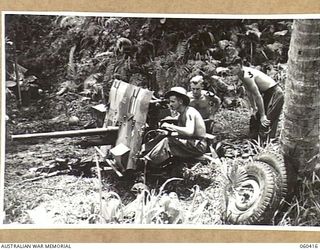 GODOWA, NEW GUINEA. 1943-11-05. TROOPS OF THE 11TH BATTERY, 2/3RD AUSTRALIAN TANK ATTACK REGIMENT WITH THEIR GUN DESMOUNTED AND READY FOR ACTION. SHOWN ARE: NX66317 GUNNER L. M. SMITH OF INVERELL, ..