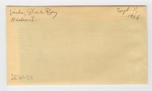 [Birds in Shark Bay in Hawaii, envelope IE29-129]