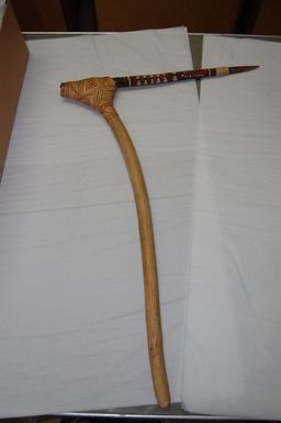 Weapon