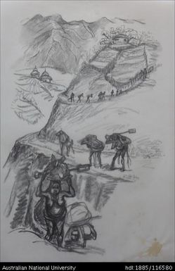 The women of New Guinea