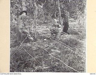 GOODENOUGH ISLAND, NEW GUINEA. 1942-10. IMITATION BARBED WIRE ENTANGLEMENTS MADE FROM CREEPERS. THE ISLAND WAS SEIZED BY A SMALL FORCE OF AUSTRALIANS AND BY BLUFF AND DECEPTION THEY LED THE ..