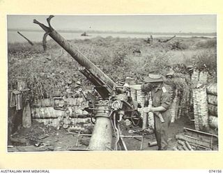 HANSA BAY, NEW GUINEA. 1944-06-19. NX34766 MAJOR A.V. TAYLOR, CHIEF ELECTRICAL AND MECHANICAL ENGINEER, HEADQUARTERS, 5TH DIVISION, EXAMINING A JAPANESE 4 INCH NAVAL GUN DESTROYED BY THE JAPANESE ..