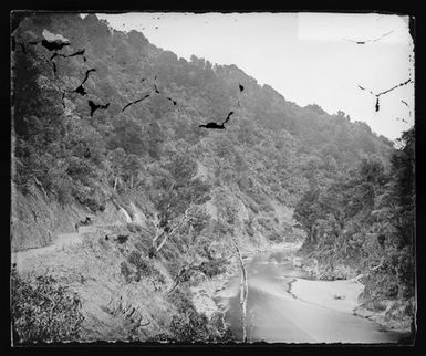 Manawatu Gorge at the Cascade