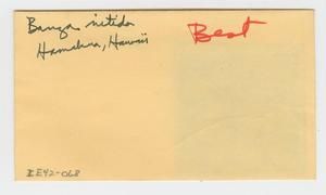[Banza nitida in Hawaii, envelope IE42-068]