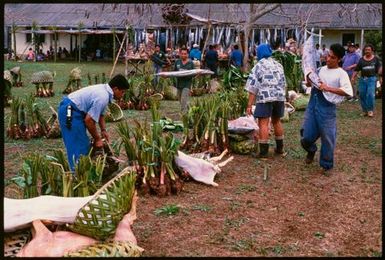 Food division, Niue