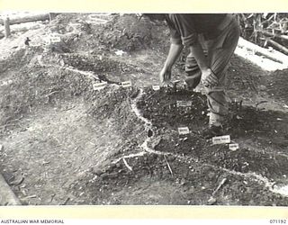 FINSCHHAFEN AREA, NEW GUINEA. 1944-03-17. A SECTION OF THE SAND MODEL USED TO DESCRIBE FEATURES OF TERRAIN TO TROOPS OF THE 2/48TH INFANTRY BATTALION PRIOR TO THE BATTLE FOR SATTELBERG