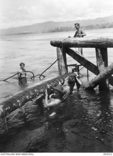 URFIP CREEK, WEWAK AREA, 1945-05-14. SAPPERS OF 9 PLATOON, 2/8 FIELD COMPANY, ROYAL AUSTRALIAN ENGINEERS, BUILDING A FALSE PLATFORM TO RUN TRUCKS ON WHICH CARRY THE STRINGERS DURING THE ..