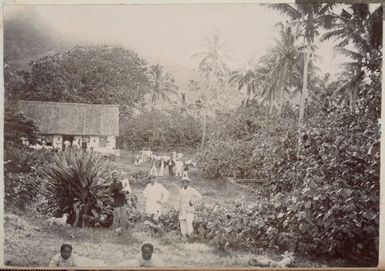 Group of people. From the album: Cook Islands