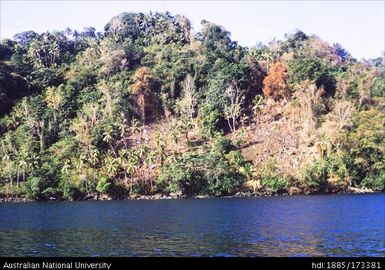 Hillside garden near Magar (cf. CE180)