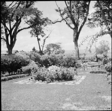 Clamshell birdbath in the front yard of the Chinnery's house Malaguna Road, Rabaul, New Guinea, ca. 1936, 2 / Sarah Chinnery