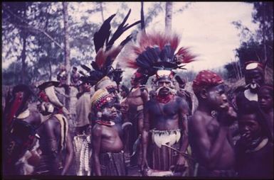 The Kukiga people, the men : singsing ground of the Kukiga Clan, Wahgi Valley, Papua New Guinea, 1955 / Terence and Margaret Spencer