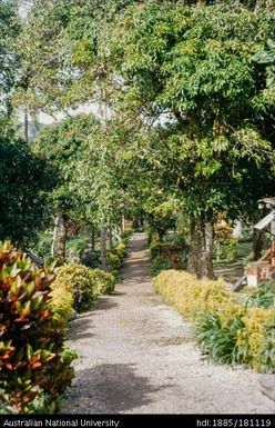 New Guinea / Solomon Islands