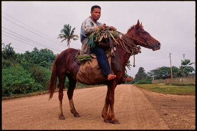 Man on a horse,Tonga