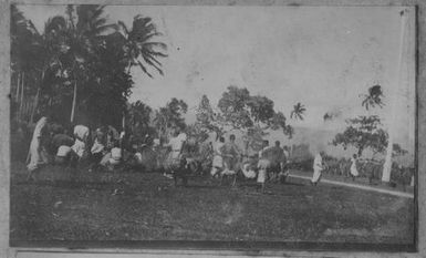 At Mulinu'u, Samoa. From the album: Skerman family album