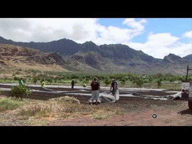 PBS Hawaii - HIKI NŌ Episode 111 | Waianae Intermediate School | Seed by Seed