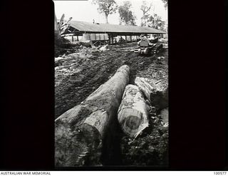 Lae, New Guinea. 1944-07-26. A member of 2/3rd Forestry Company using a small tractor to drag a mill log to the saw in the Busu Forest