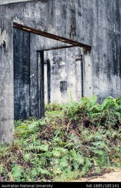 Kulumadau area: Derelict concrete house structures, overgrown with forest vines and bushes