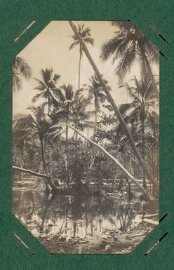Lagoon, probably Naoero.  From the album: Banaba (Ocean Island)