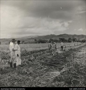 Field Officer and farmer