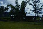 Building with rammed earth walls, bamboo in foreground, at Minj, WH [Western Highlands],1960?