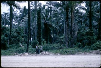 On road near Arawa village : Bougainville Island, Papua New Guinea, April 1971 / Terence and Margaret Spencer