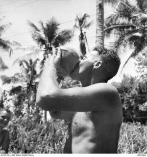 FINSCHHAFEN AREA, NEW GUINEA, 1943-10-23. NX58503 SIGNALLER D.W. OSBEISTON OF THE 9TH AUSTRALIAN DIVISION SIGNAL LINE TEAM, ENJOYS A COOL DRINK OF COCONUT MILK IN THE SALANKAUA PLANTATION WHILE ..