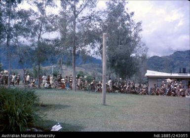 Gathered crowd