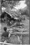 Pig festival, pig sacrifice, Tsembaga: shelter and cooking fires in ancestral shrine, Ann Rappaport in background