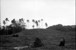 Large mound at Vailele plantation.