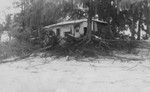 House and vegetation aftermath after a tsunami hit the Big Island of Hawaii, in Hilo. April 1, 1946