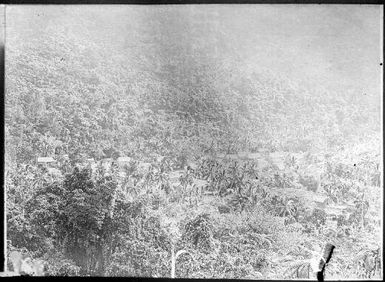 Village surrounded by jungle, Fiji, ca. 1920 / E.W. Searle