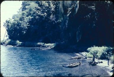 The shoreline leading to Kokopo : Rabaul, New Britain, Papua New Guinea, 1960-1961 / Terence and Margaret Spencer