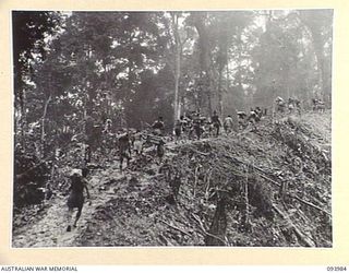 MOUNT SHIBURANGU, WEWAK AREA, 1945-07-12. A NATIVE CARGO TRAIN TOILING UP ONE OF THE STIFF SLOPES OF MOUNT SHIBURANGU CARRYING SUPPLIES FOR THE 2/8 INFANTRY BATTALION. IT IS BACK BREAKING WORK IN ..