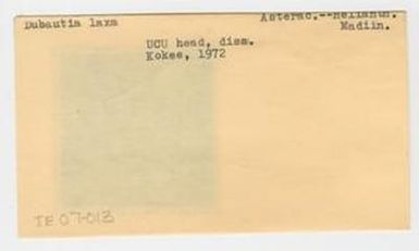 [Dubautia laxa in Hawaii, envelope IE07-013]