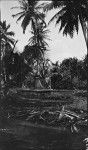 Captain Cook memorial, Point Venus, Tahiti