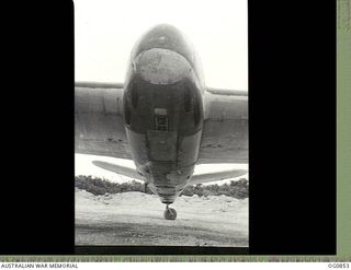 KIRIWINA, TROBRIAND ISLANDS, PAPUA. C. 1944-03. A STRANGE FISH AT NO. 30 (BEAUFIGHTER) SQUADRON RAAF. HELD UPSIDE DOWN THIS PICTURE OF A BEAUFIGHTER AIRCRAFT FUSELAGE WING STUBS AND TAIL LOOKS LIKE ..