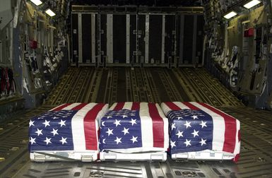 Three American Flag draped transfer cases carrying the remains of fallen Americans found in Laos, sit aboard a USAF C-17A Globemaster III aircraft at Anderson Air Force Base (AFB), Guam. This is the first time the remains have touched American soil and are enroute to Hawaii (HI), for further investigation